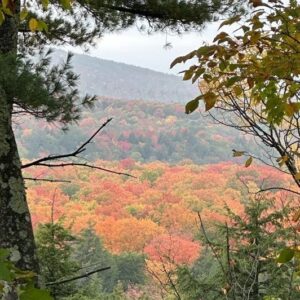 A picture taken atop a hill, looking out at the fall colors on the trees.