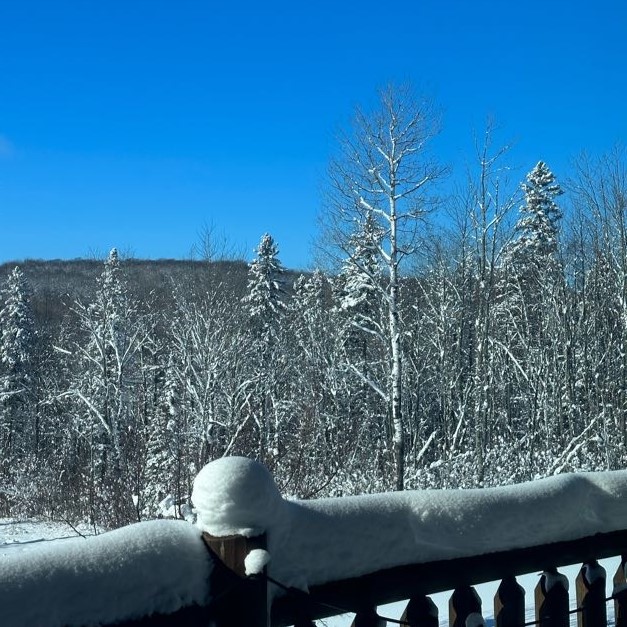 A pickture of snow covered trees in front of a blue sky, with a snow-covered railing in the forefront.