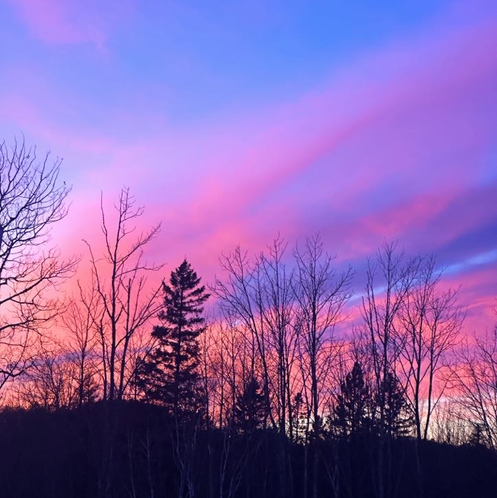 An image of a pink, orange-y red, and purple sunset with the outlines of trees visible.
