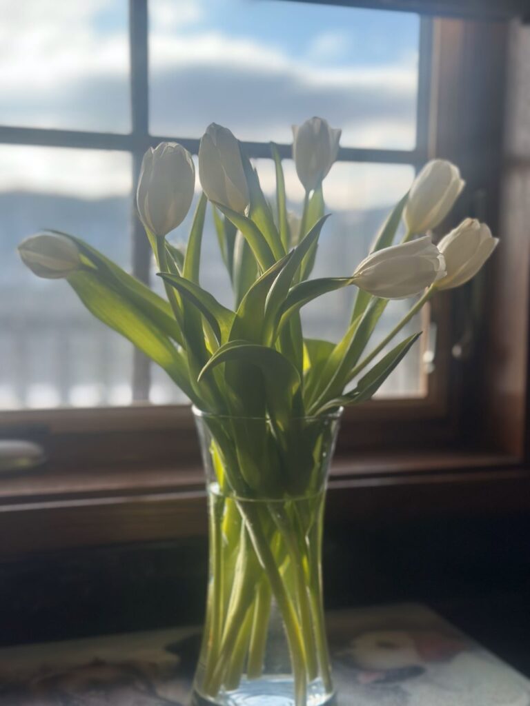 A vase of white tulips on a counter in front of a window.