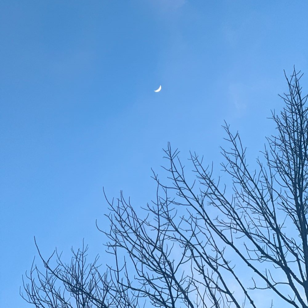 A picture of a crescent moon in the sky.