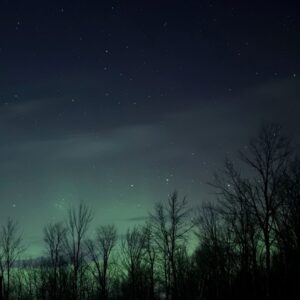 What I'm Liking Lately 4.20.24 cover image of the northern lights faintly shining through trees.