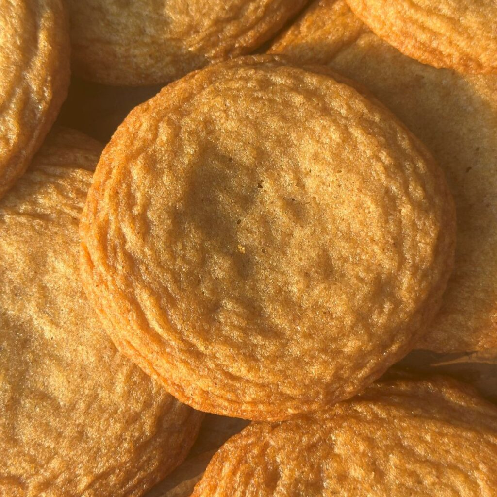 Brown Butter Chocolate Chipless Cookies Cover Image --- Close Up of the Cookies
