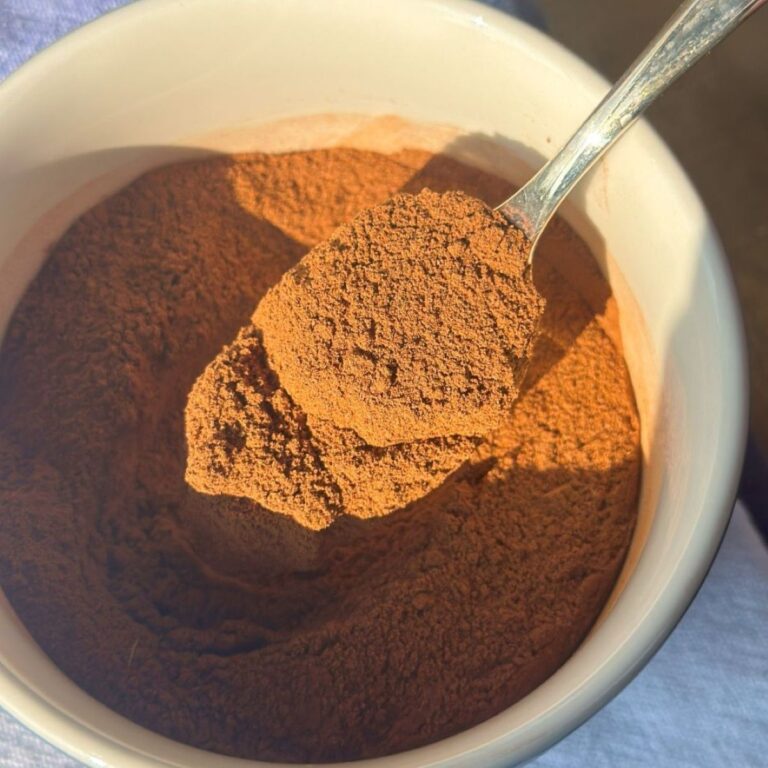 Homemade Chai Spice Recipe Close Up of a Spoonful of Chai Spice