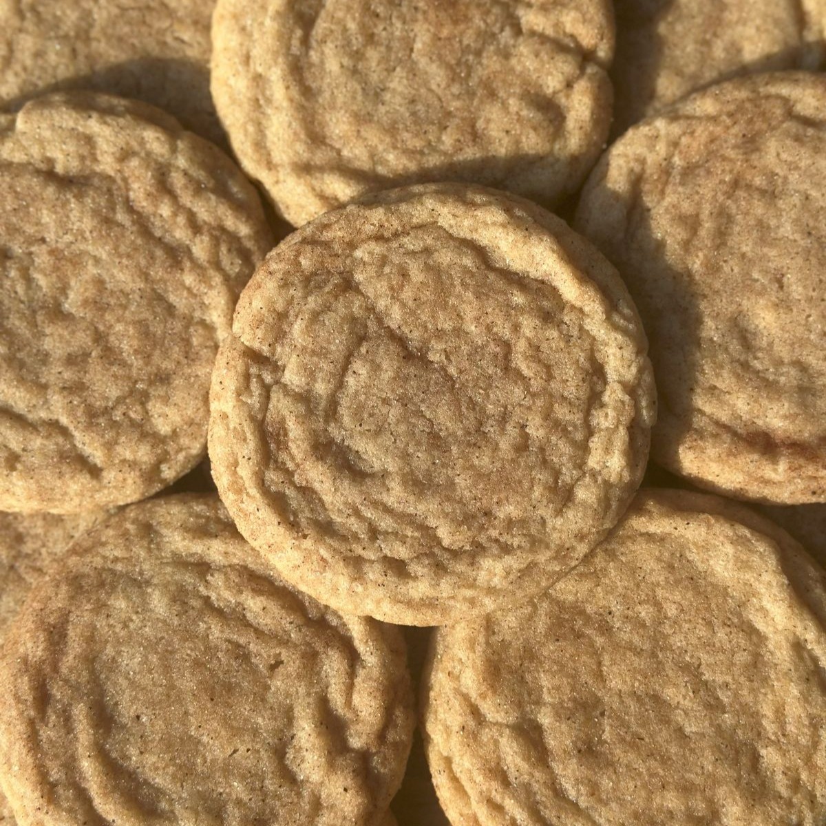 Best Ever Chai Snickerdoodles (Chai Cookies) Cover Image